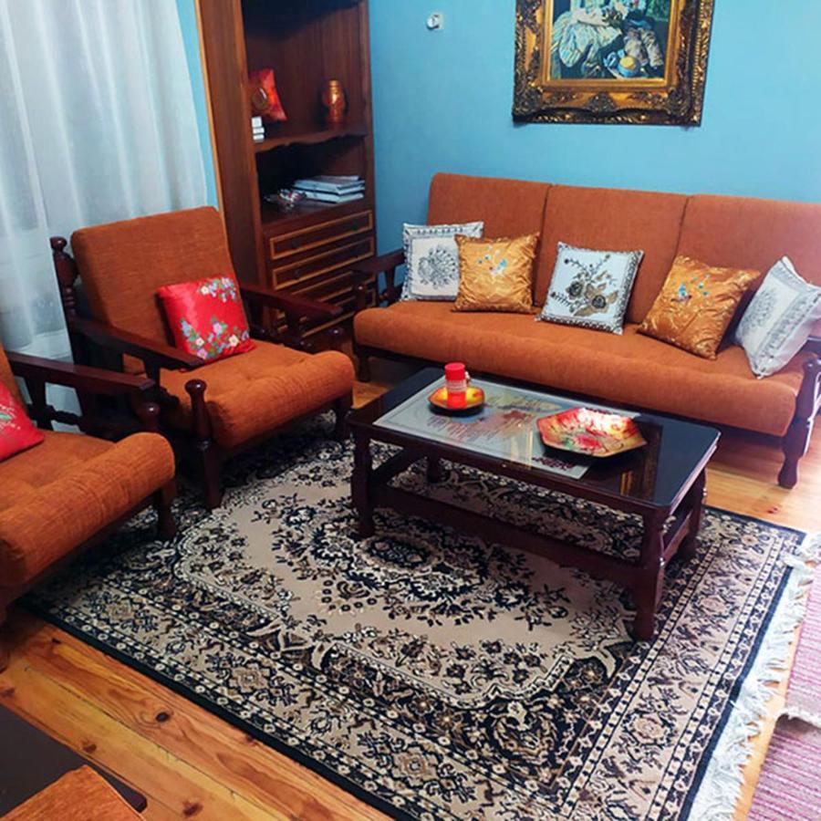 Meteora Mansion - Traditional Apt 3Bd - Rocks View Kalampáka Buitenkant foto